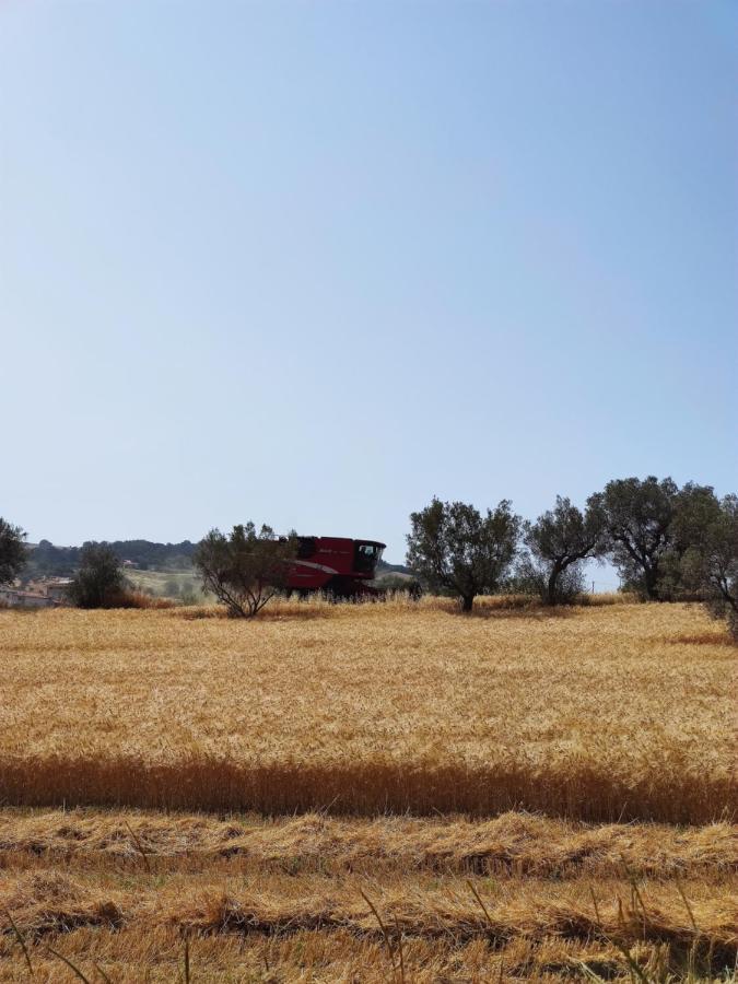 Podere Frassineto Campli Esterno foto